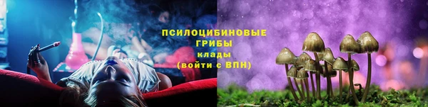 спиды Богородск