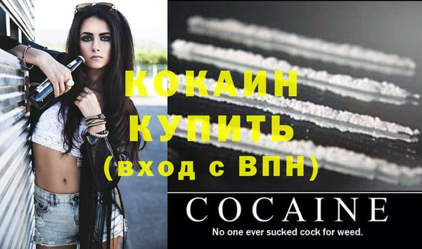 спиды Богородск