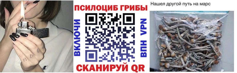 Псилоцибиновые грибы мицелий  Мезень 